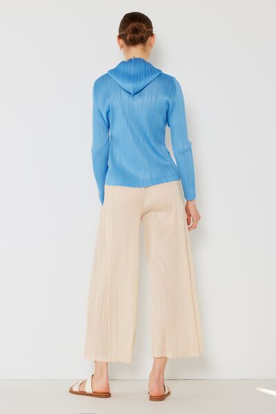 Marina West Swim Pleated Wide-Leg Pants with Side Pleat Detail - Lily and Lavender Boutique