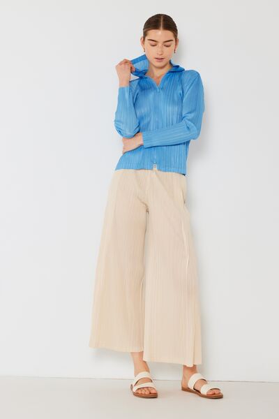 Marina West Swim Pleated Wide-Leg Pants with Side Pleat Detail - Lily and Lavender Boutique